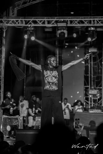 Game 11 Festival